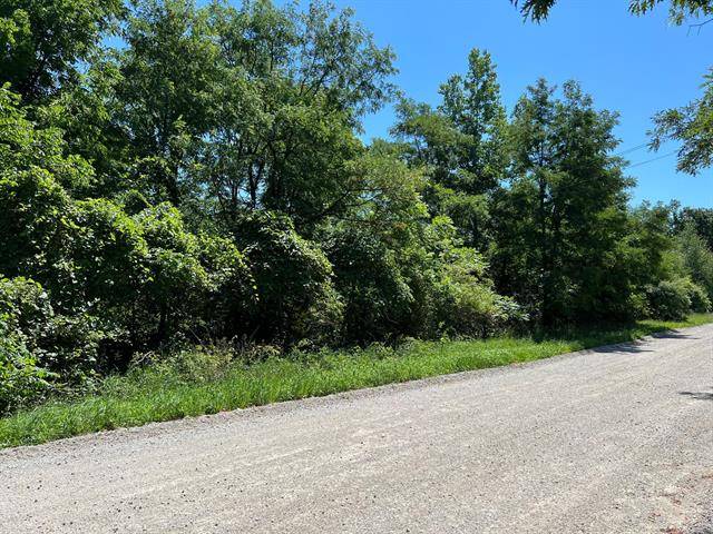 Eureka Twp, MI 48838,Parcel B W County Line Road