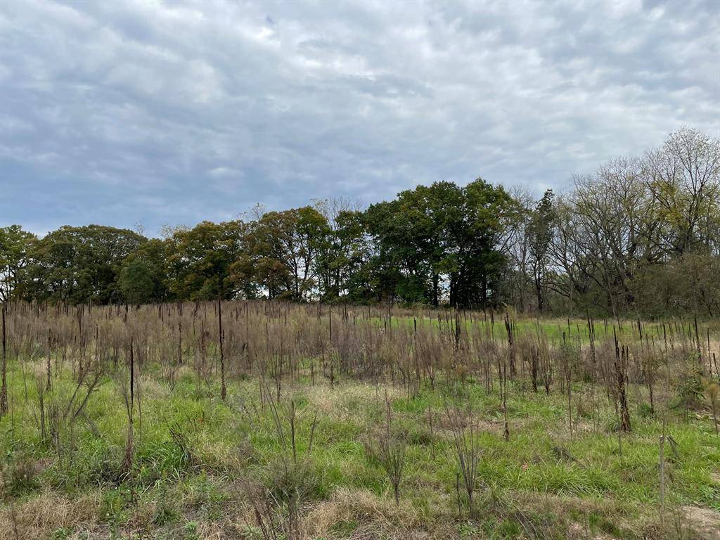 Cascade Twp, MI 49301,5186 Hickory Pointe Wds SE