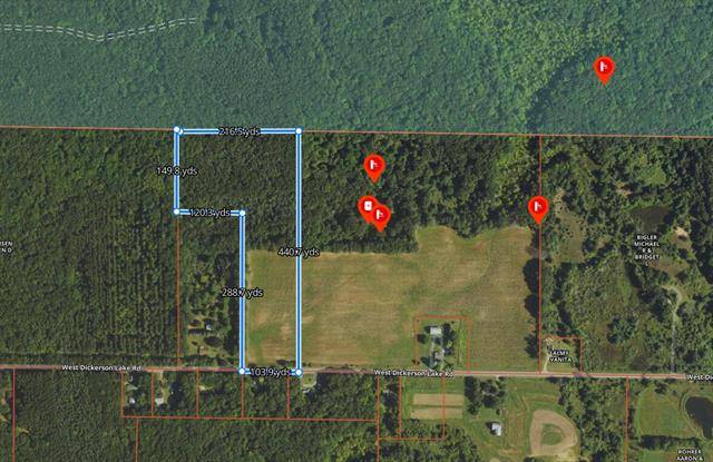 Pine Twp, MI 49326,Lot A W. Dickerson Lake Road