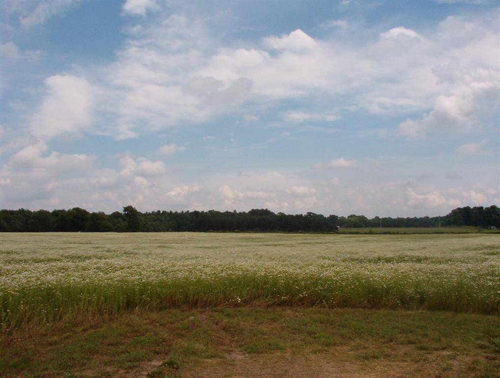 Tyrone Twp, MI 49330,2154 17 Mile Road Parcel A