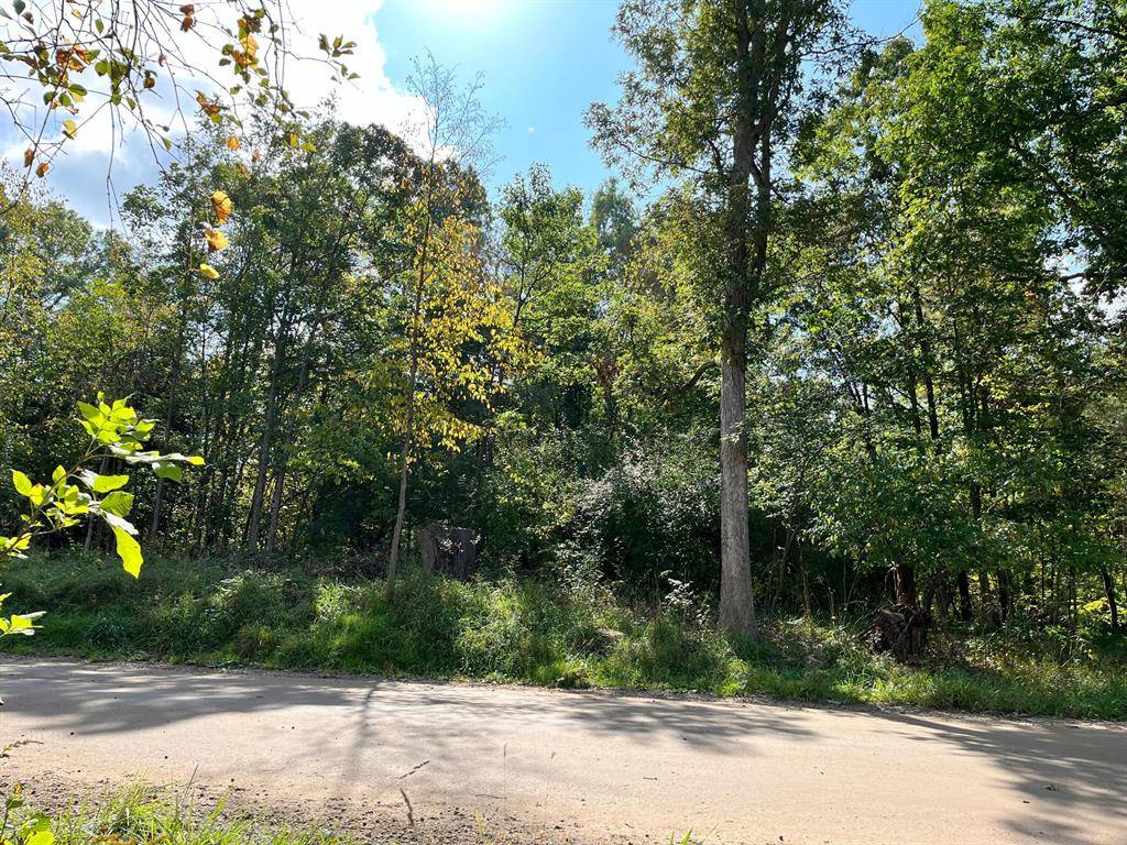 Ada Twp, MI 49301,7500 Conservation Street NE Lot B