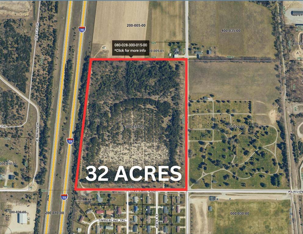 Livingston Twp, MI 49735,530 Five Lakes Road