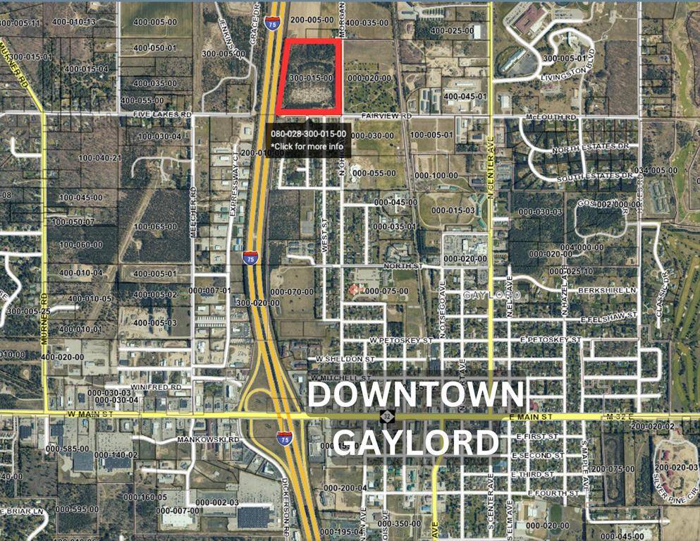 Livingston Twp, MI 49735,530 Five Lakes Road