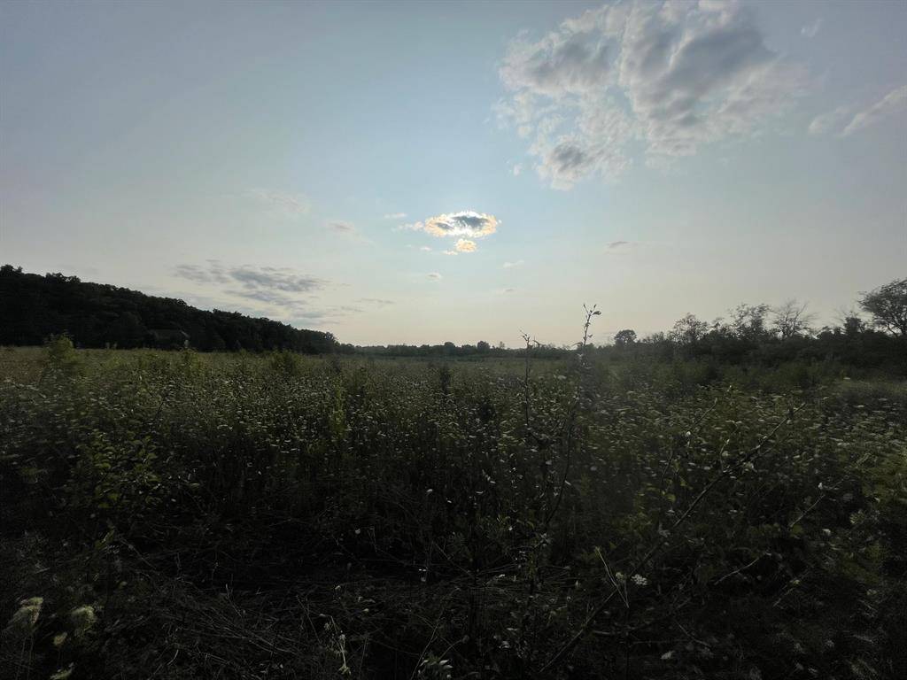 Pittsfield Twp, MI 48197,Lot 2 Munger Road