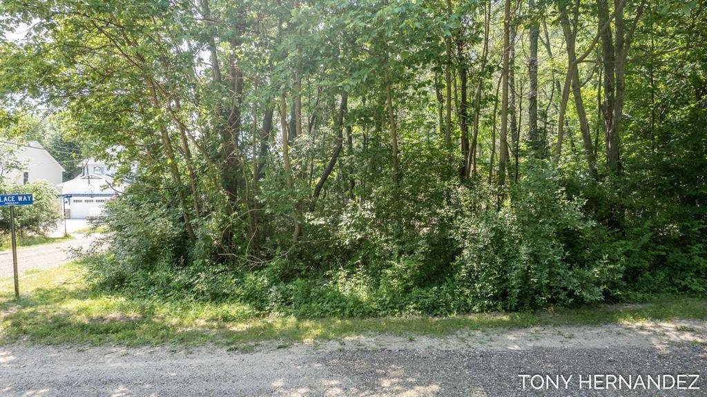 Casco Twp, MI 49090,Lot 15 Maple Street