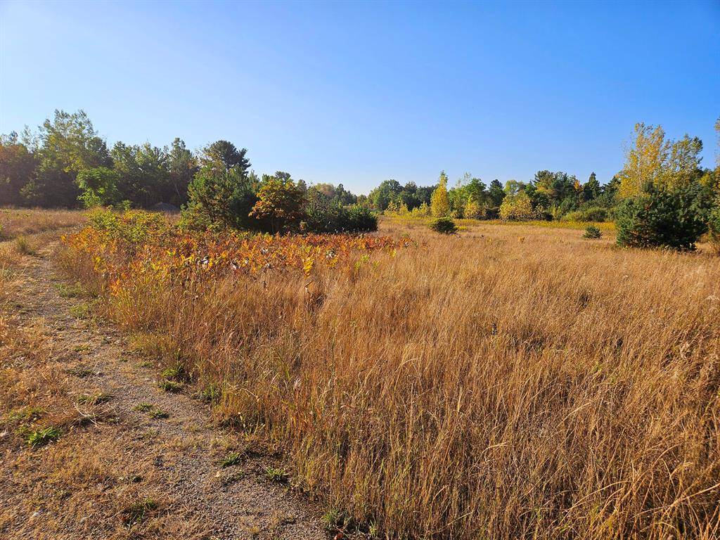 Olive Twp, MI 49460,Parcel A Fillmore St