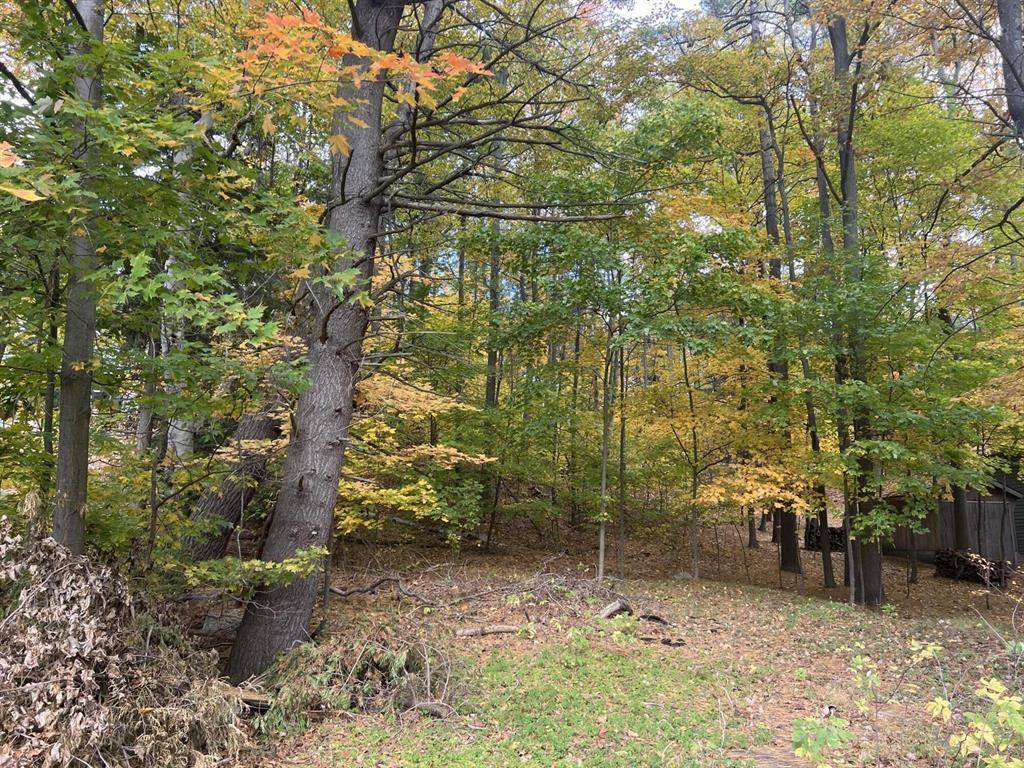 Benona Twp, MI 49455,V/L W Beverly