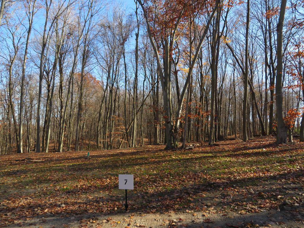 Caledonia Twp, MI 49316,8794 Rainbows End Road SE Parcel #7