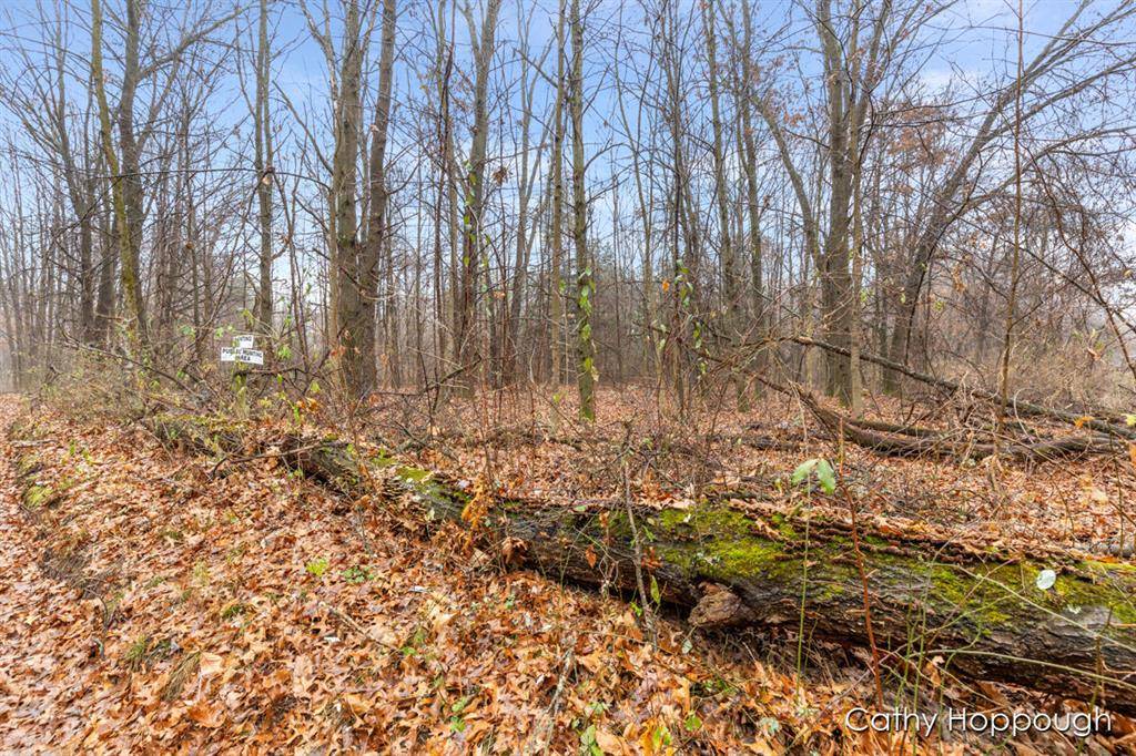 Fairplain Twp, MI 48834,V/L W Snows Lake Road Parcel 1