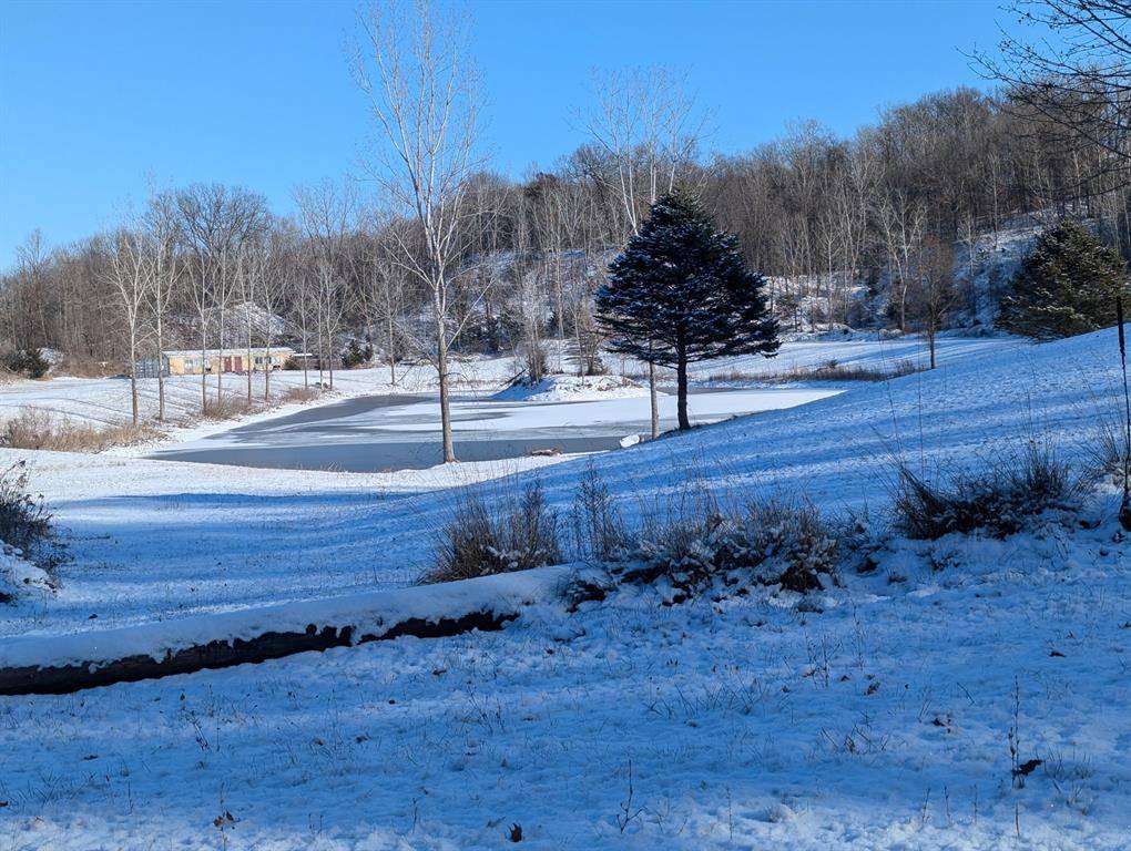 Berlin Twp, MI 48846,LOT 65 Hosford Drive