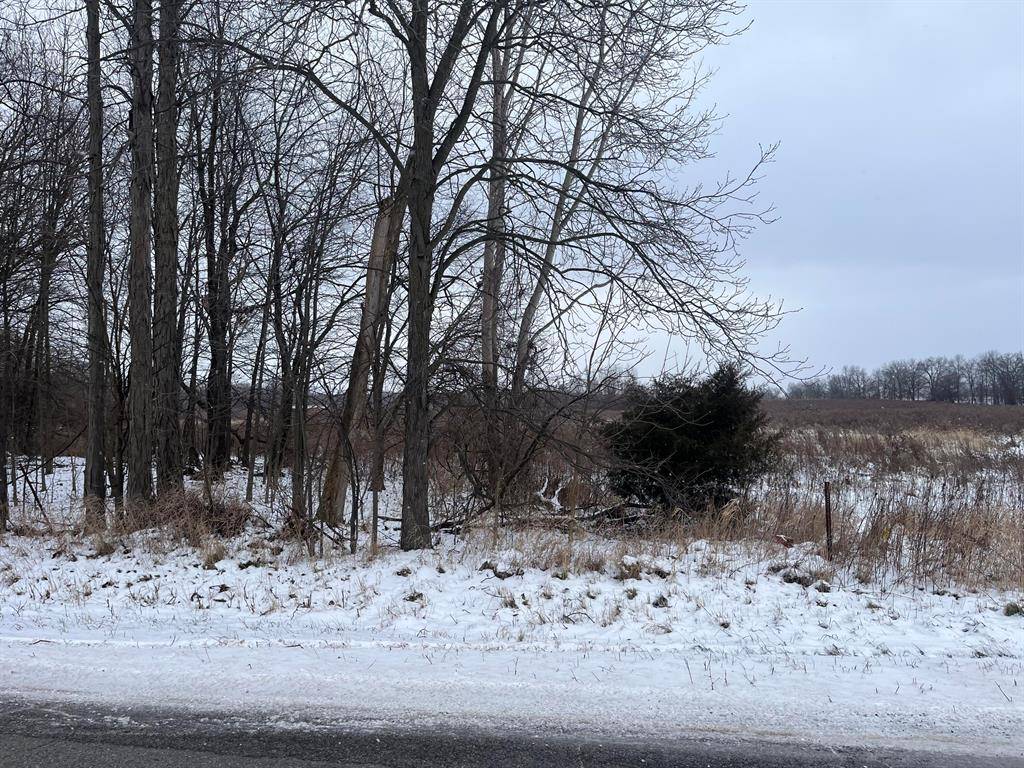 Bowne Twp, MI 49302,11602 64th Street SE Modifier: PARCEL A