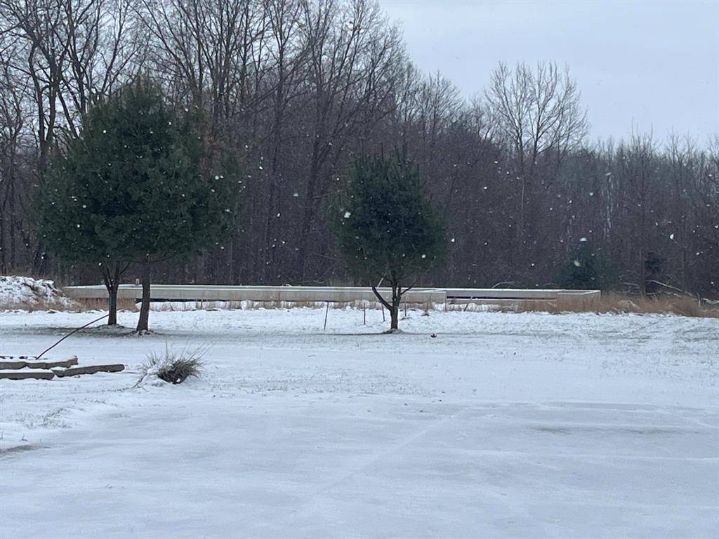 Vergennes Twp, MI 49331,10336 Bailey Drive NE