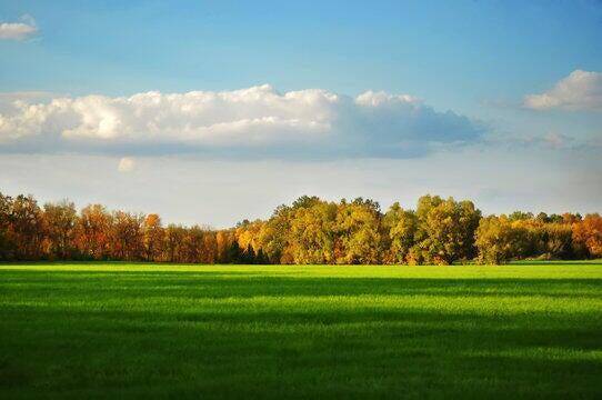 Gaines Twp, MI 49316,10090 Hideaway Court SE 18