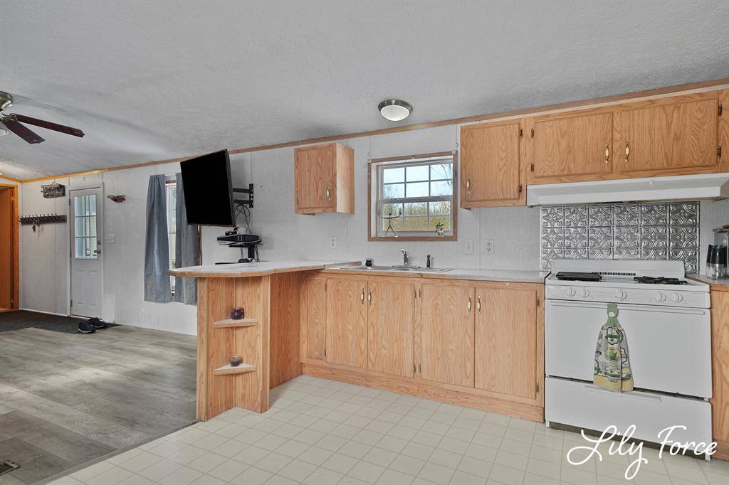 Tyrone Twp, MI 49330,540 22 Mile Road NW