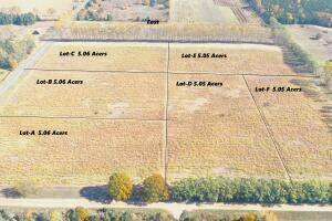 Benona Twp, MI 49455,VL 28th Avenue Parcel D