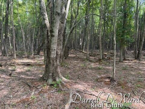 Cannon Twp, MI 49341,8690/ 8680 Greeley Court NE