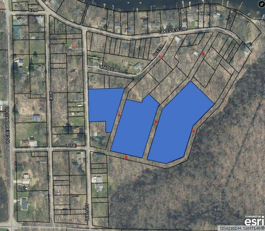 Buchanan Twp, MI 49107,15973 Walnut Street