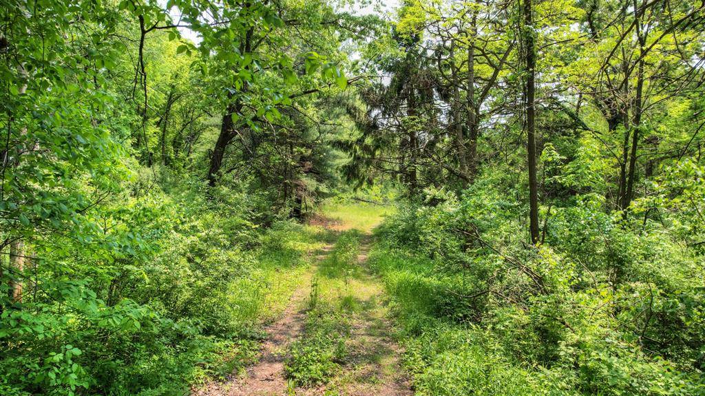 Cannon Twp, MI 49341,8232 Ramsdell Drive NE