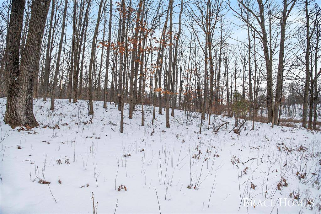 Morton Twp, MI 49346,8426 Manitoba Street