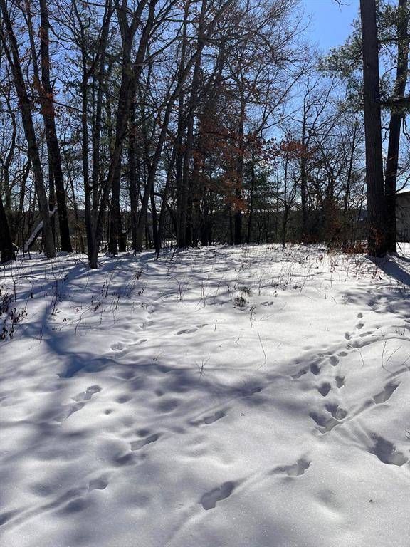 Croton Twp, MI 49337,6420 E CARRIGAN Drive