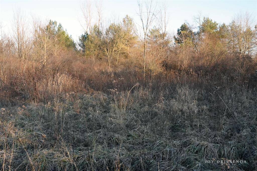 Allegan Twp, MI 49010,V/L Fawn Path, Parcel B