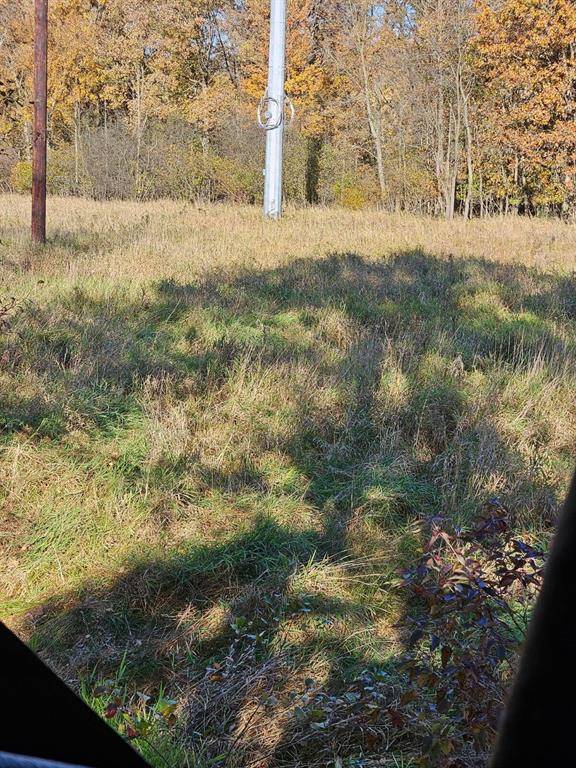 Comstock Twp, MI 49048,V/L E L Avenue