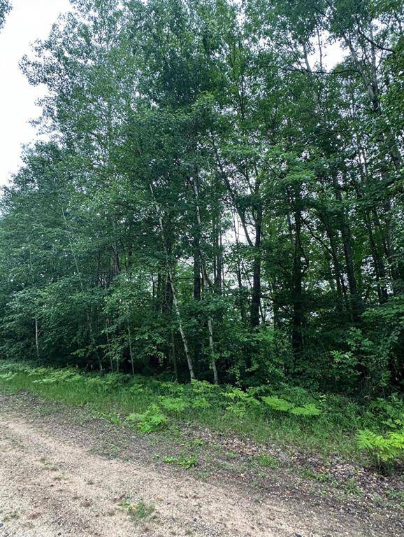 Cedar Twp, MI 49677,V/L Alpine Drive Lot 318