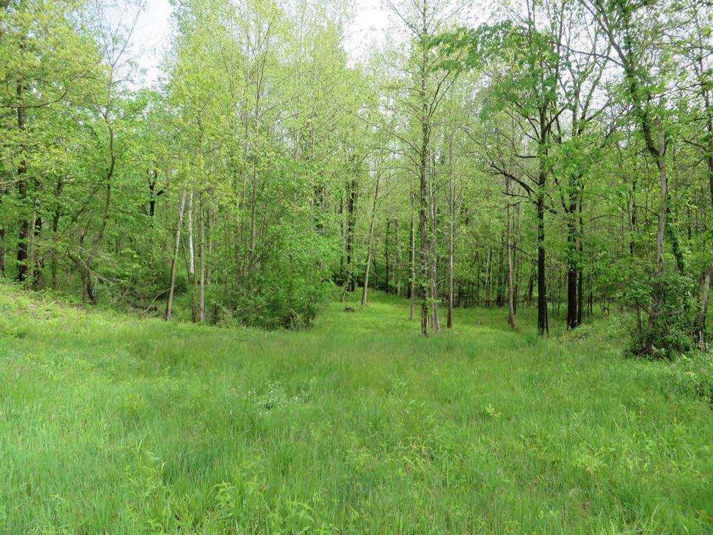 Kentwood, MI 49512,3473 Breezewood Court SE