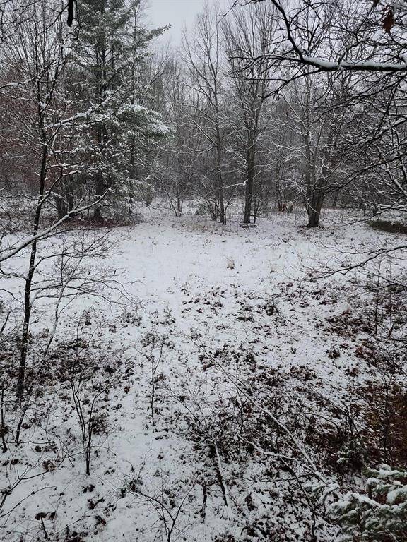 Dalton Twp, MI 49445,Lot E E River Road