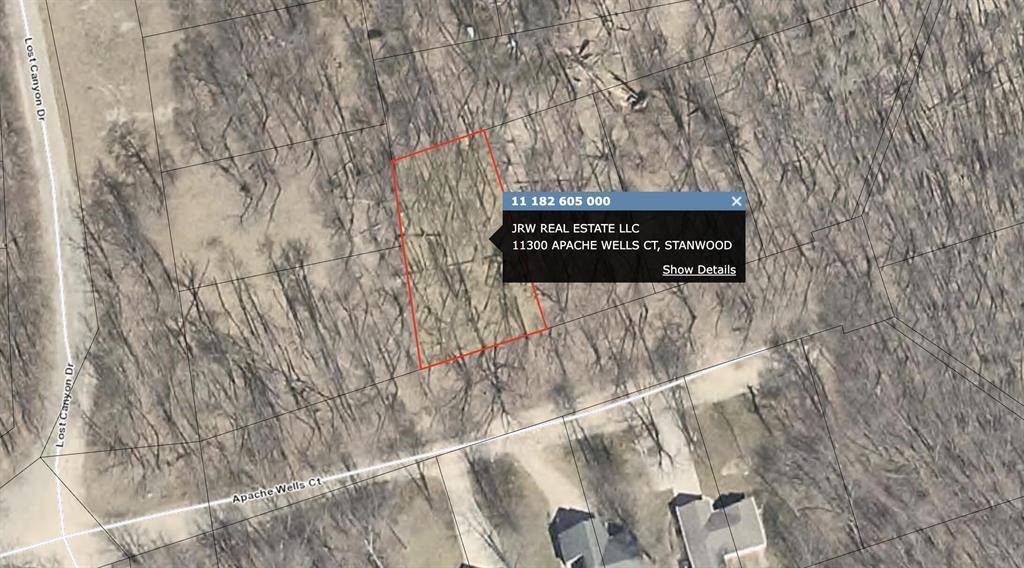 Morton Twp, MI 49346,11300 Apache Wells Court