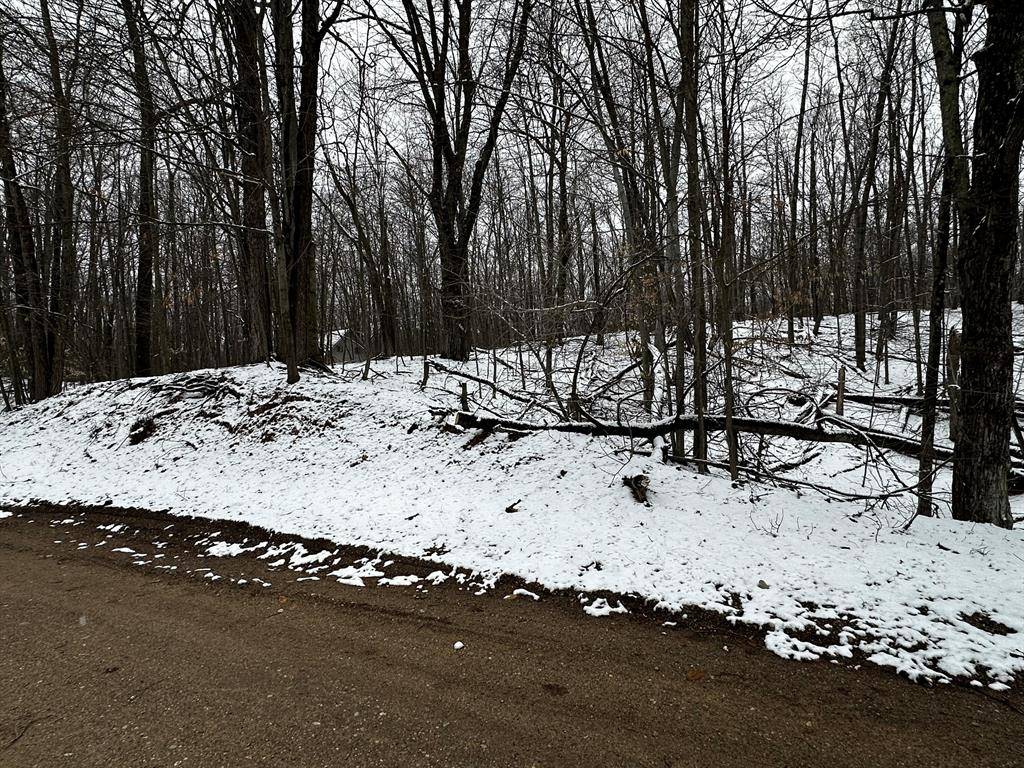Morton Twp, MI 49346,9692 Buffalo Court