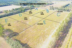 Benona Twp, MI 49455,W Shelby Rd Parcel B