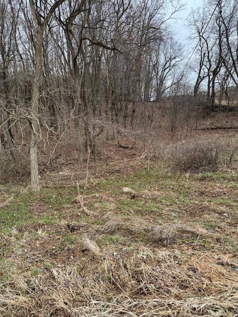 Boston Twp, MI 49331,V/L W Peck Lake Road