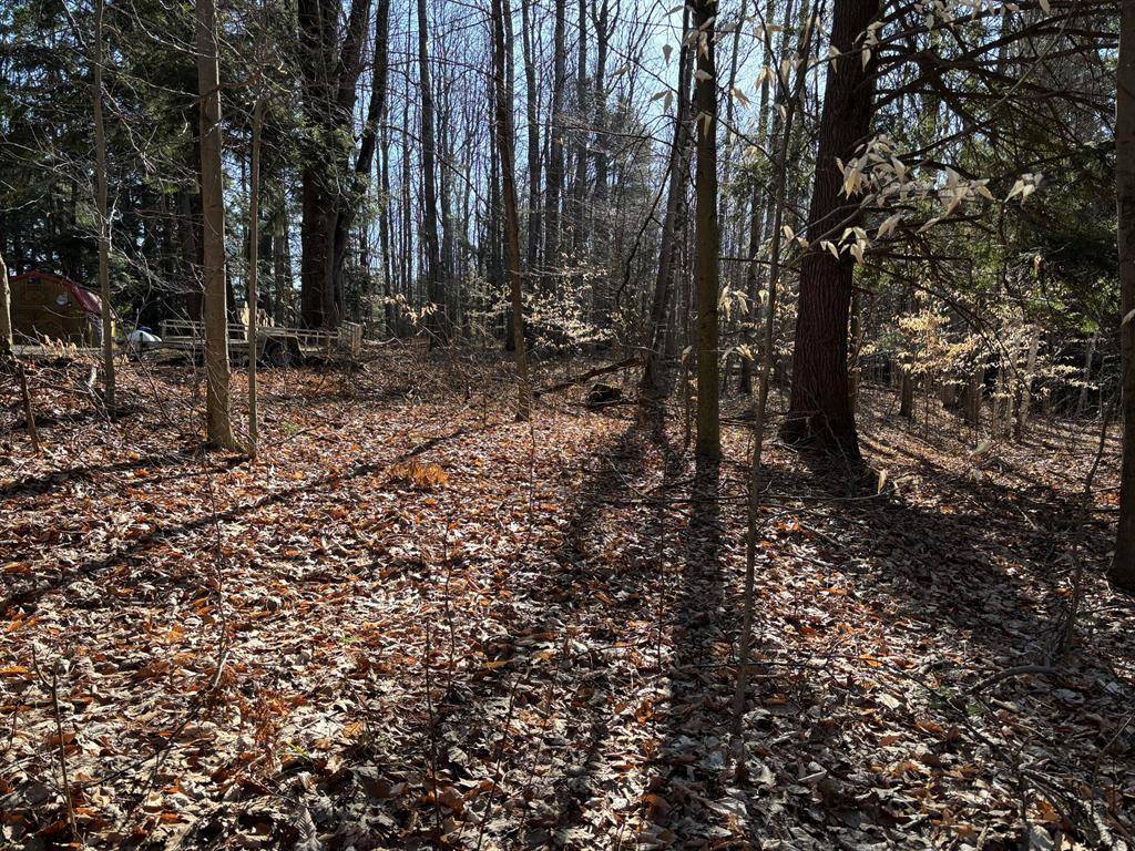Evart Twp, MI 49631,VL Lot 811 Miramichi Drive