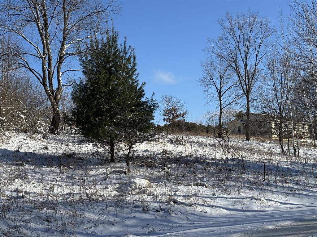 Evart Twp, MI 49631,VL 108-111 Miramichi Drive