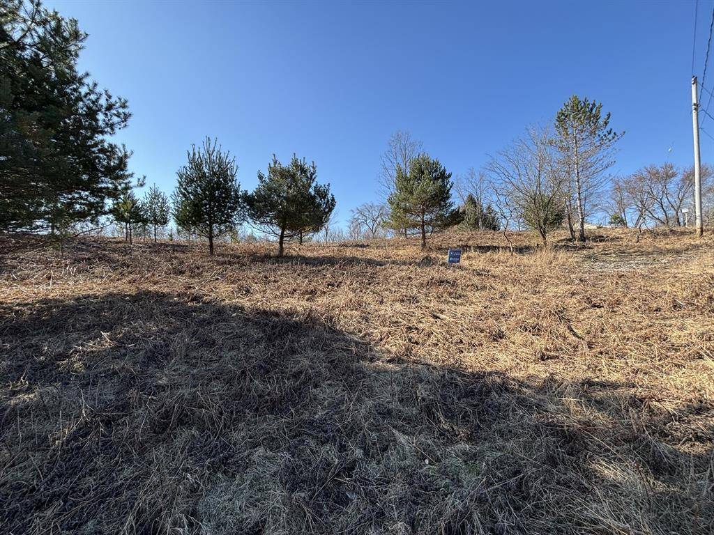 Evart Twp, MI 49631,VL Lot 122 Chippewa Trail