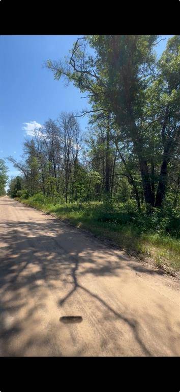 Yates Twp, MI 49642,V/L E 40TH Street