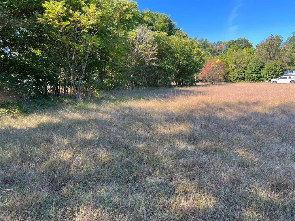 Chester Twp, MI 49318,0 Crockery Woods Drive Parcel K