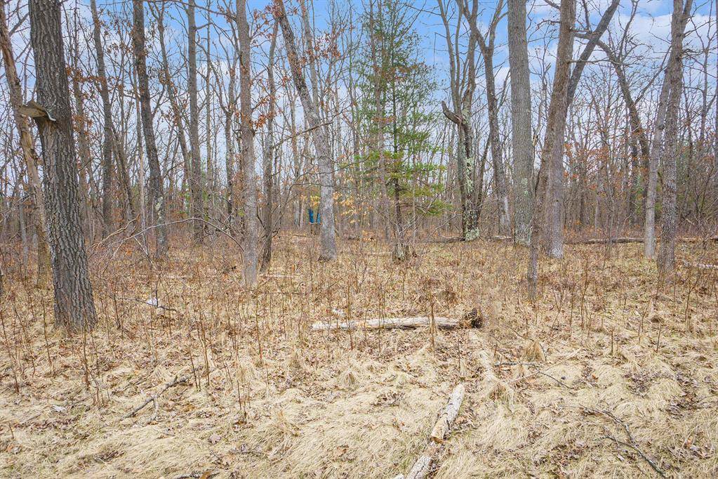Merrill Twp, MI 49309,V/L N Woodbridge Road