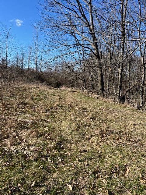 Eureka Twp, MI 48838,Parcel A W County Line Road