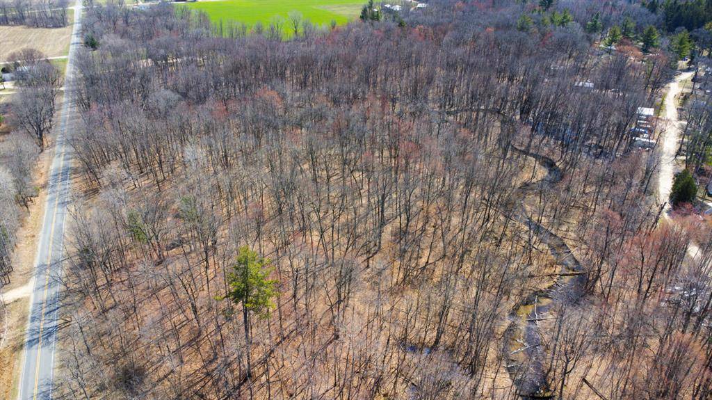 Evergreen Twp, MI 48884,E Holland Lake Road