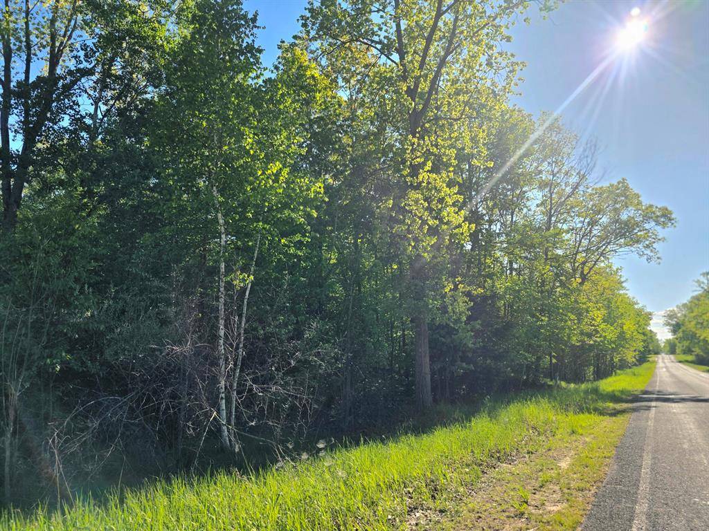 Evergreen Twp, MI 48884,E Holland Lake Road
