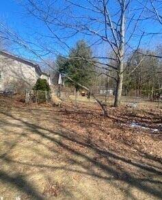 Hamlin Twp, MI 49431,7131 W No Name Road