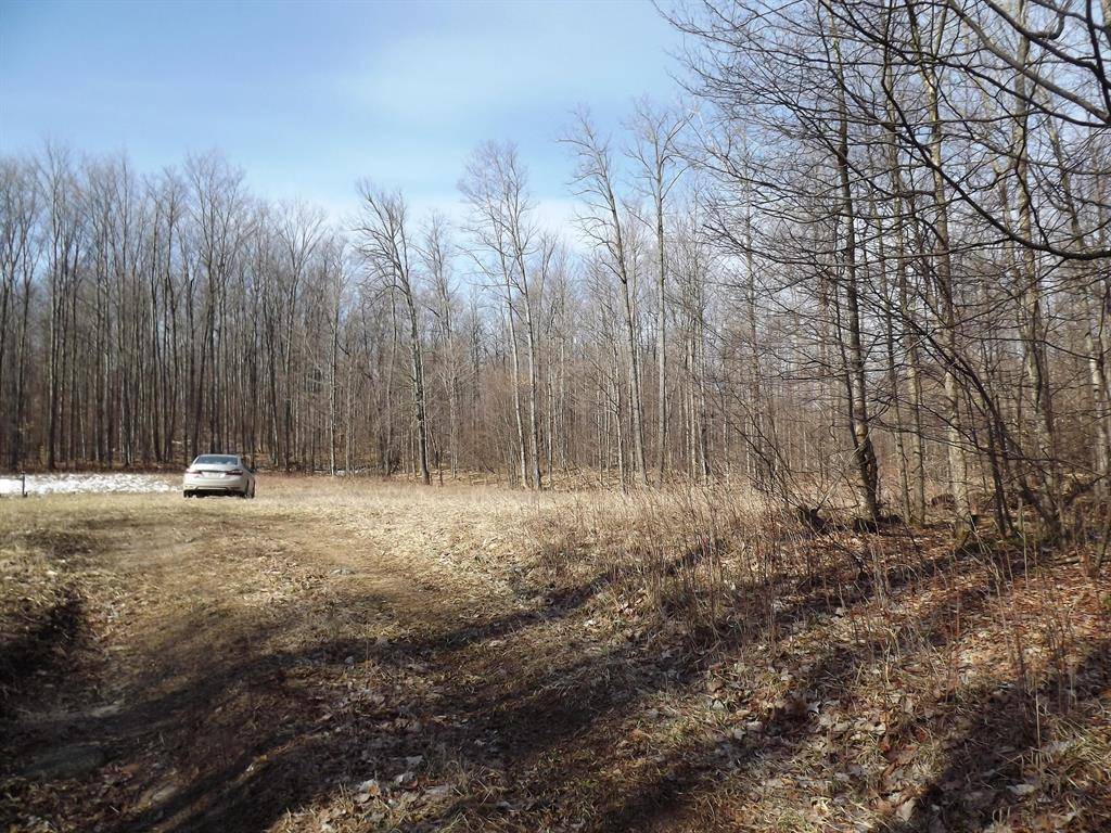 Helena Twp, MI 49612,000 Valley Street