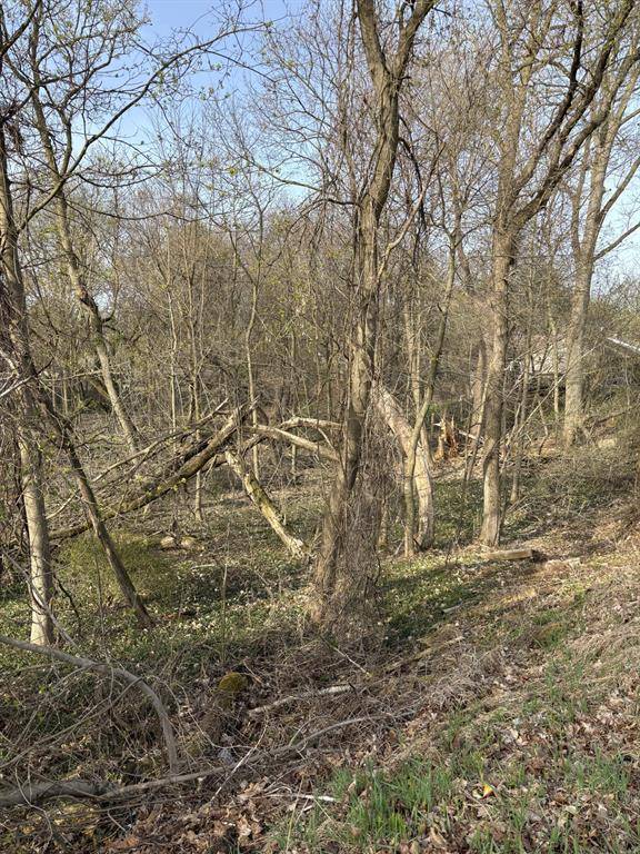 Greenville, MI 48838,Lot 31 W High Street