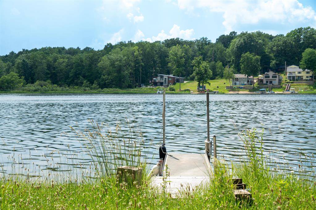Grattan Twp, MI 48809,7229 Bordeau Drive NE