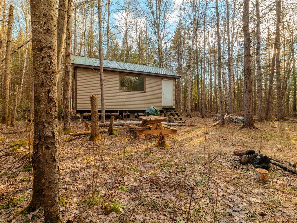 Manistique Twp, MI 49840,V/L Merwin Creek Road