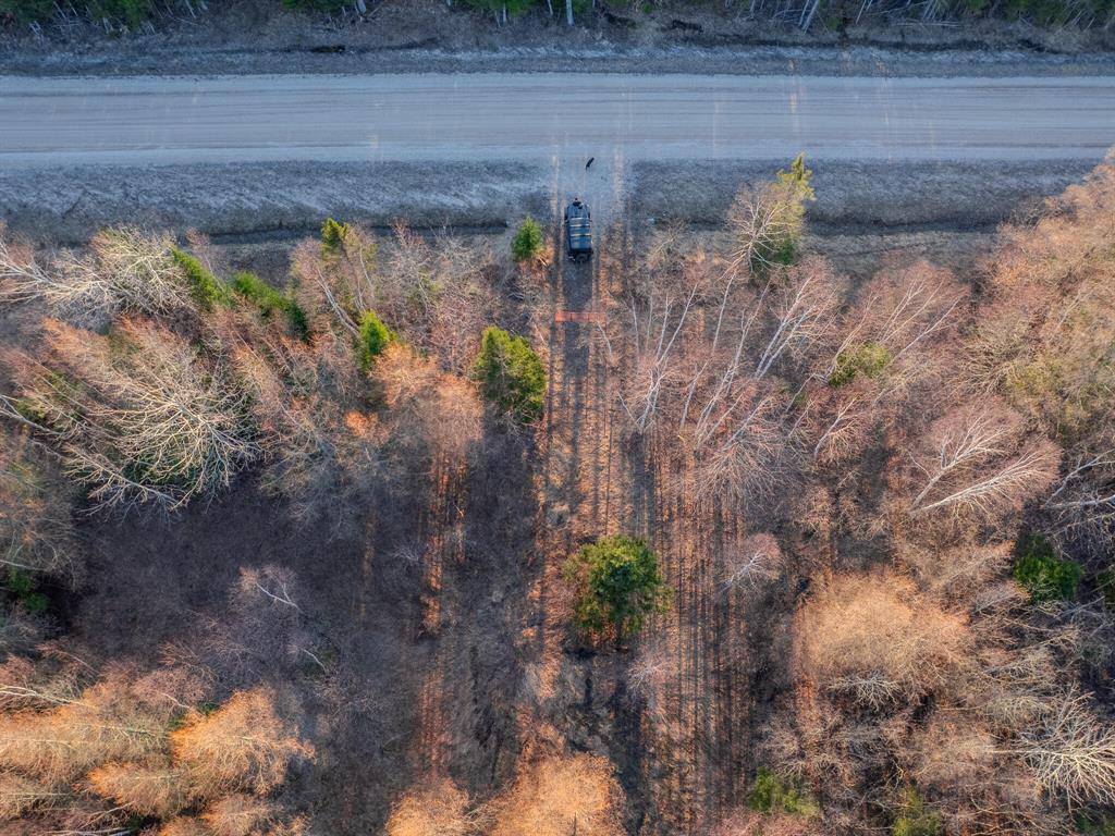 Manistique Twp, MI 49840,V/L Merwin Creek Road