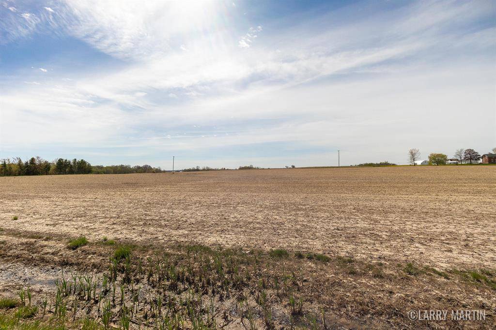 Overisel Twp, MI 49419,V/L 141st Avenue Parcel A