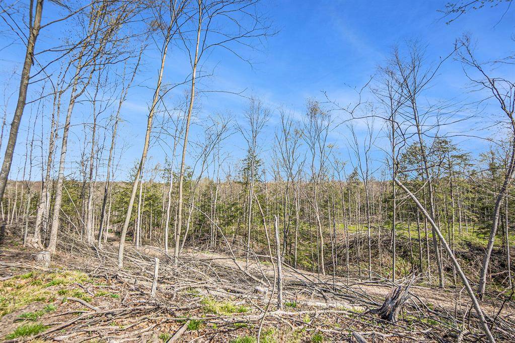 Ashland Twp, MI 49327,V/L W 100th Street